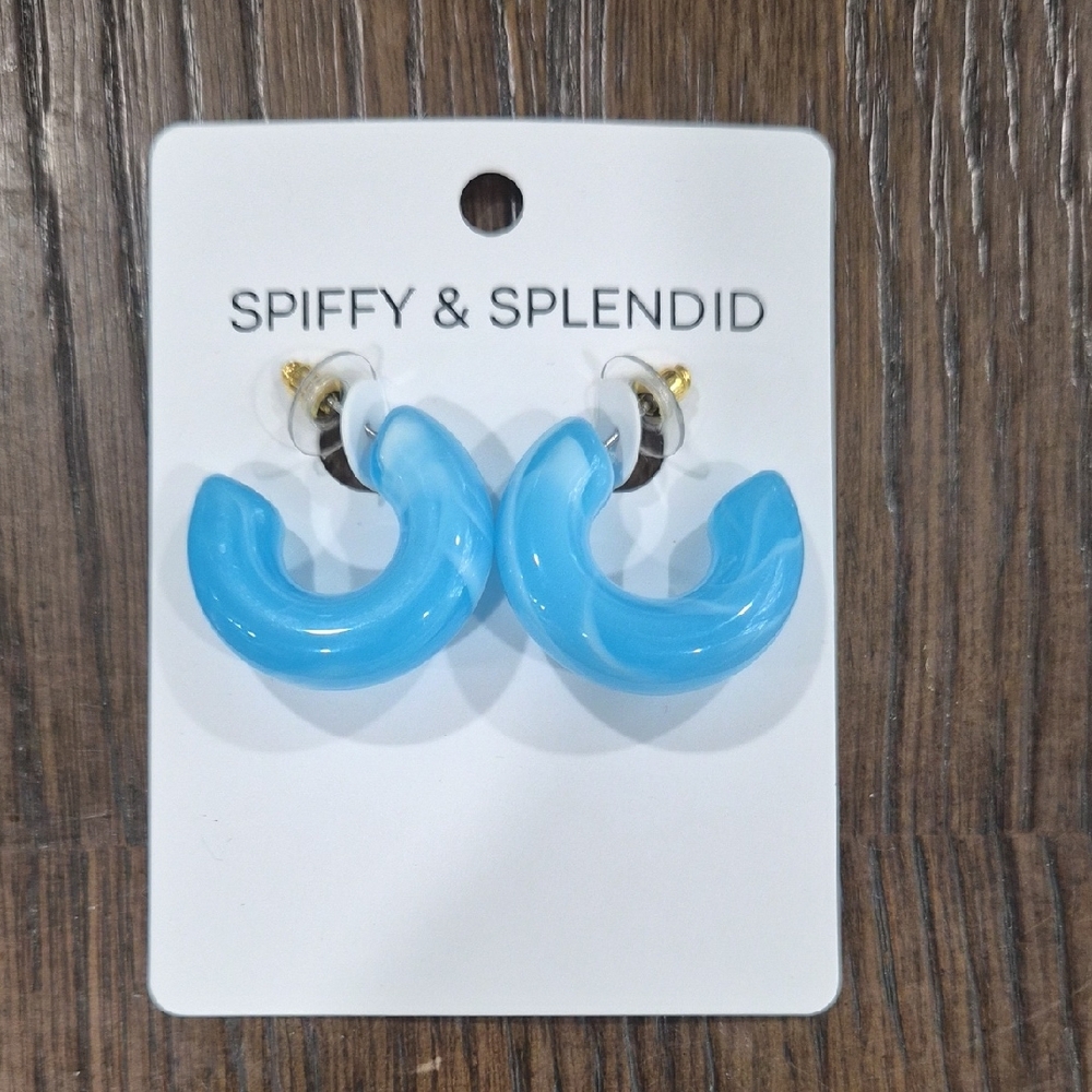 Spiffy & Splendid Blue Hoop Earrings